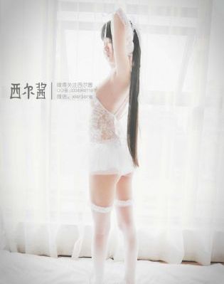 91色视频在线观看_DVD在线观看视频